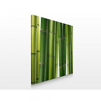 Apalis Cuadro de Lienzo no.102 Bamboo Plants 70x70cm, Größe:70cm x 70cm