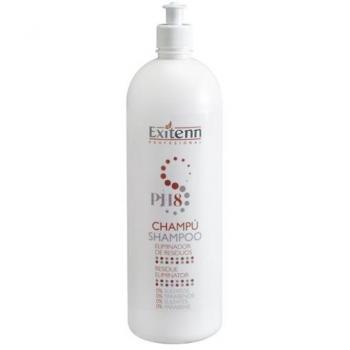 Exitenn Purificante Champú 1000ml