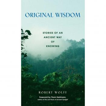 Original Wisdom: Stories of an Ancient Way of Knowing