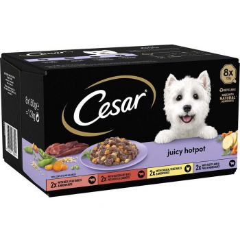 Cesar Country Kitchen Favourites in Sauce - 24 x 150g