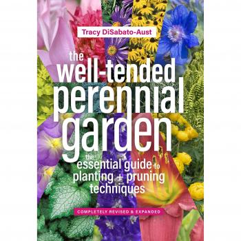 Well-Tended Perennial Garden