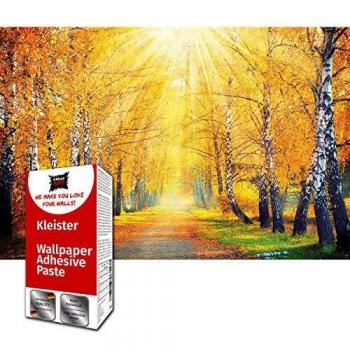 GREAT ART Foto Mural de Otoño Dorado Diseno Natural Poster Bosque Naranja 210 x 140 cm - Papel Pintado 5 Piezas incluye Pasta para pegar