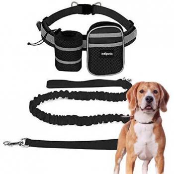 Correa Elástica para Perros de Correr Manos Libres con Portabotellas y Bolsillo, 144 a 192 cm, Antitirones, Ideal para Running y Aire Libre