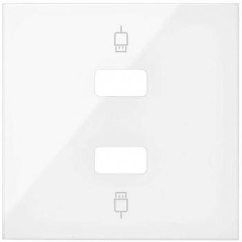 Simon 100 - Tapa para 2 conectores USB 2M