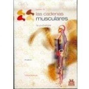 Cadenas musculares, Las