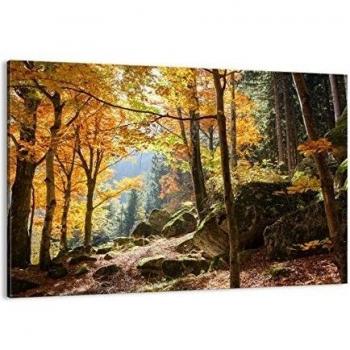 Cuadro sobre lienzo - Impresión de Imagen - Otoño montaña bosque naturaleza - 100x70cm - Imagen Impresión - Cuadros Decoracion - Impresión en lienzo - Cuadros Modernos - AA100x70-2713