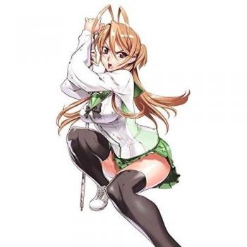 High School of the Dead Customized 24x42 inch Silk Print Poster Seda Cartel/WallPaper Great Gift
