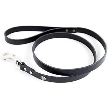 Correa de cuero para perros Martin Sellier Class con collar incluido
