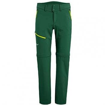 SALEWA Puez 2 DST M 2/1 Pnt Pantalones, Hombre, Myrtle/2090, 48/M