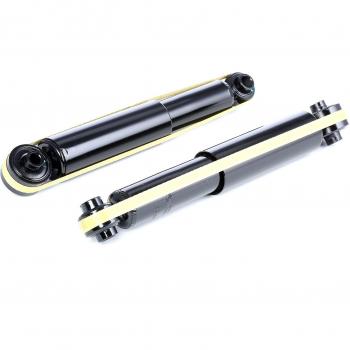 RIDEX 854S1541 Amortiguador, Set de 2