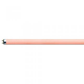 Fluorescent lamp Standard coloured NL-T8 58W/60-R/G13