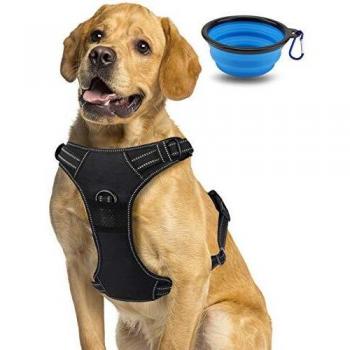 morpilot Arnés Antitirones Perro Transpirable, Arnés Perro Grande Mediano con Control de Manija y con Lineas Reflectantes - Arnés Pecho Perro Duradero con Chaleco Acolchado Ajustable