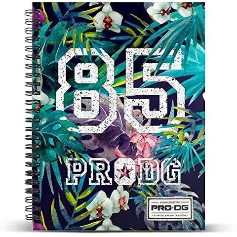 Imagen Principal