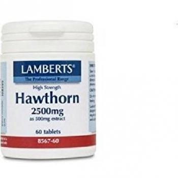 Lamberts Espino Blanco 2500mg - 60 Tabletas