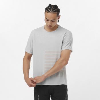 Camiseta de hombre Salomon Sense Aero GFX Trail Running Manga Corta Gris (M)