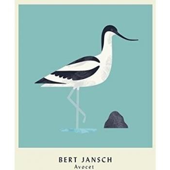 Avocet