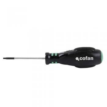 Destornillador Torx Magnético 10 x 80