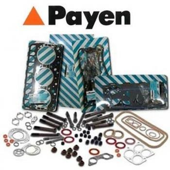 PAYEN Anillo retén cigüeñal
