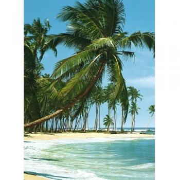 1art1 Islas South Sea 4-Parts Póster Fotomural 254x183 cm
