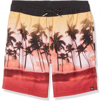 Quiksilver wavesvl15 Bañador para niño, Niño, Wavesvl15, Nasturticm, FR : 14 ans