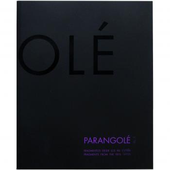 Parangolé. Fragmentos desde los 90: España: 3