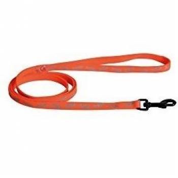 Correa de nylon para perros Martin Sellier Fish con diseño divertido y resistente
