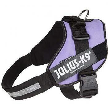 JULIUS-K9 16IDC Power Harness