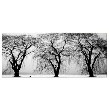 Impresión sobre Lienzo Árbol 5, Poliéster Multicolor, 100x3x70 cm