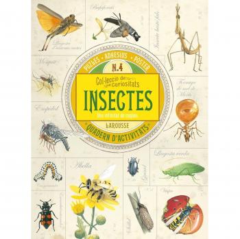 Col.lecció de curiositats. Insectes