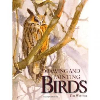 Libro Dibujo y Pintura de Aves por Tim Wootton