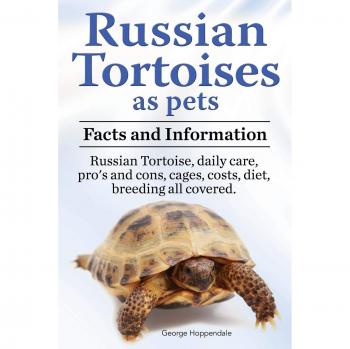 Russian Tortoises as Pets. Russian Tortoise: Facts and Information. Daily Care, Pro's and Cons, Cages, Costs, Diet, Breeding All Covered