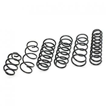 Bilstein 38-241536 Muelles para Suspensión Baja