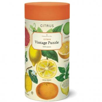 Cavallini Citrus 1000-Piece Jigsaw Puzzle