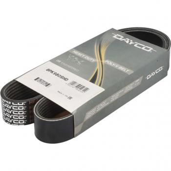 Correa acanalada en V DAYCO 8PK980SHD, tipo de producto: correa V-ribbed, características: longitud de 980 mm, perfil de 8 canales, alta resistencia y durabilidad