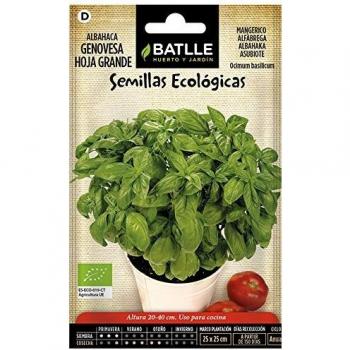 Semillas ecológicas de Albahaca genovèse hoja grande