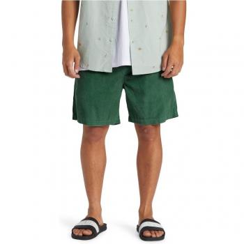 Quiksilver Pantalones Cortos Taxer Cord Verde