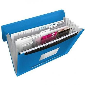 Carpeta Acordeón Esselte Vivida Azul con 6 Separadores A4