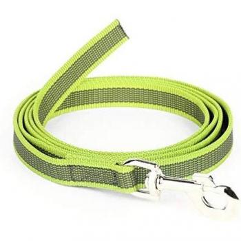 Julius-K9, 216GM-NE-2, Color & Gray Correa de Perro sin Asa, 20 mm x 2 m, Neón-Gris