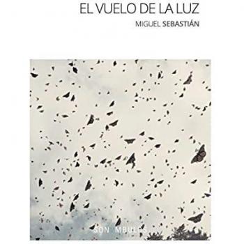 EL VUELO DE LA LUZ: 23