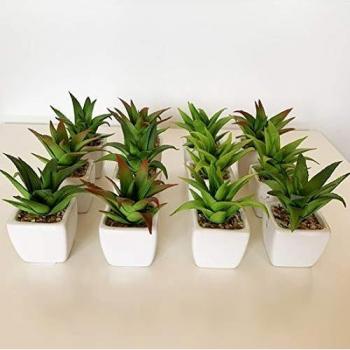 WELLHOME Cactus Cereus Surtidos Artificiales con Maceta de Ceramica, Pack 12 ST021, 12x5x5 cms