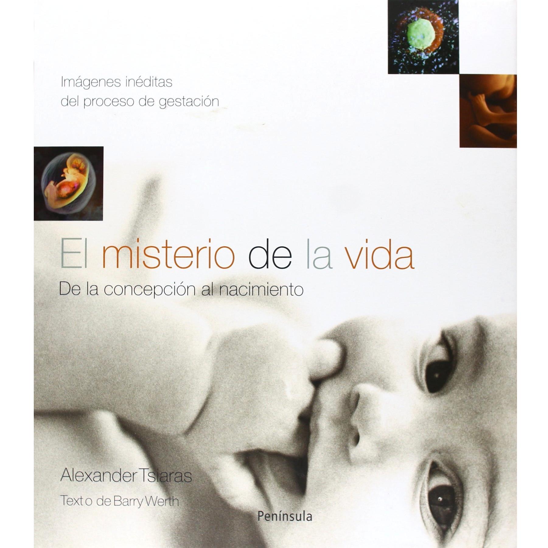 Imagen Principal