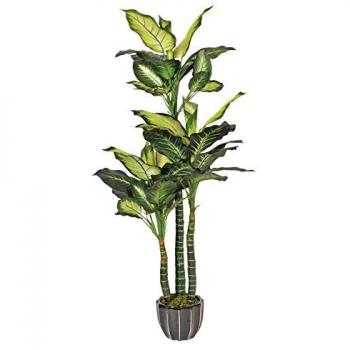 Catral Planta Artificial Pata DE Elefante 150 CM