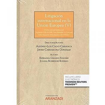 Litigación Internacional en la Unión Europea V
