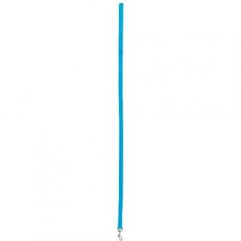 Correa de nylon turquesa 1m 15mm para perros