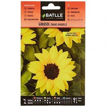 Semillas de Flores - Girasol enano amarillo - Batlle