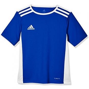 adidas Entrada 18 Jsyy Camiseta de Manga Corta, Niños, Bold Blue/White, 5-6Y