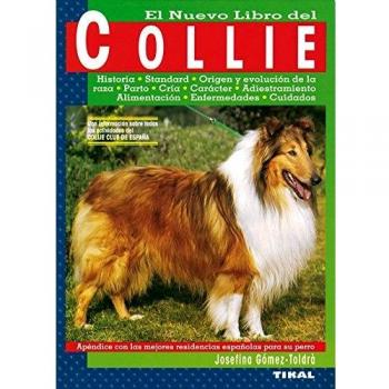 Collie