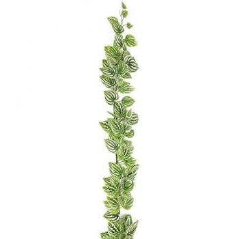 artplants.de Enredadera de fittonia Artificial, 180cm - decoración - trepadora Verde