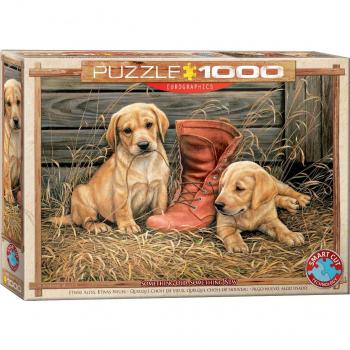 Eurographics 60000795 Old Something New Puzzle, Various