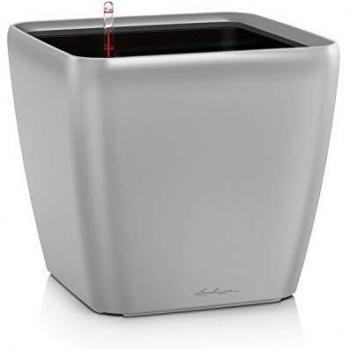 Lechuza Maceta, Quadro Premium
